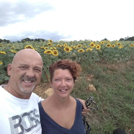 B&B Buddleja Saint-Hilaire-les-Places Exteriör bild