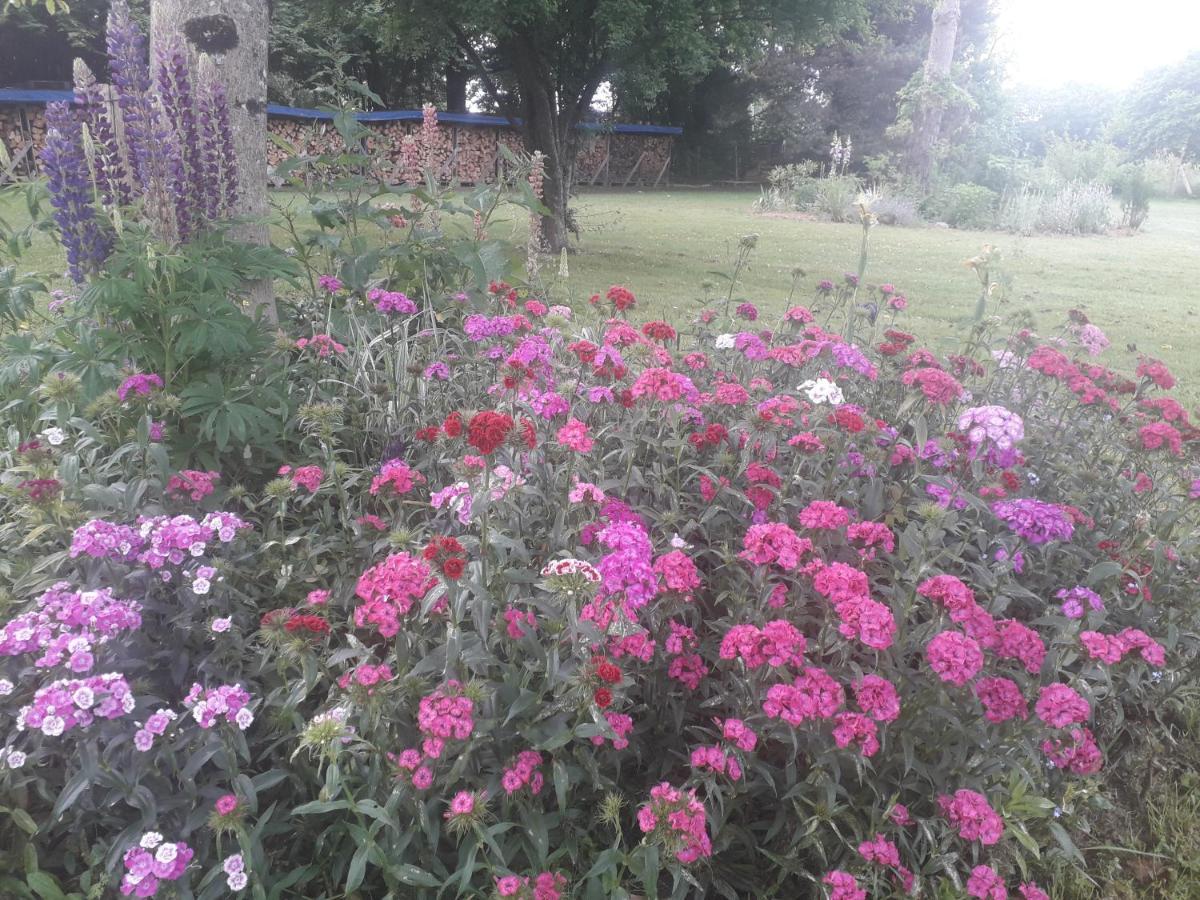 B&B Buddleja Saint-Hilaire-les-Places Exteriör bild