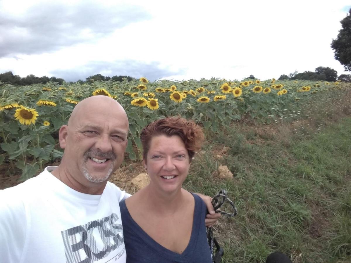 B&B Buddleja Saint-Hilaire-les-Places Exteriör bild